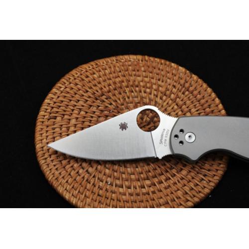 Spyderco C223 Titanium Bearing Folding Knife