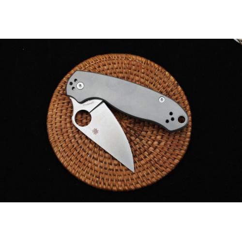 Spyderco C223 Titanium Bearing Folding Knife