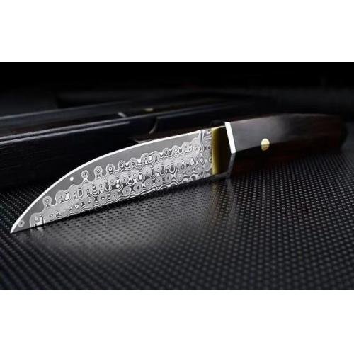 Raizo Damascus Samurai Knife