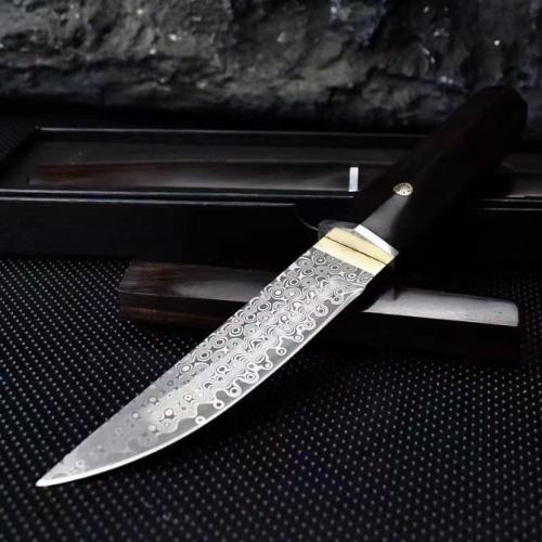 Raizo Damascus Samurai Knife
