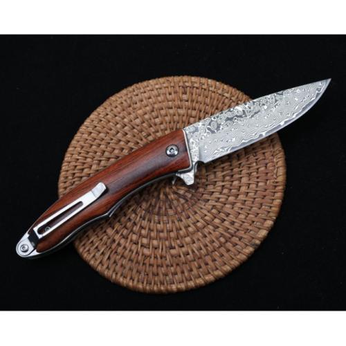 Sentinel - Damascus Quick-Open Folding Knife