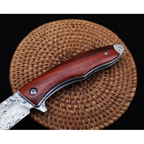 Sentinel - Damascus Quick-Open Folding Knife