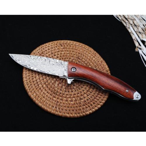 Sentinel - Damascus Quick-Open Folding Knife