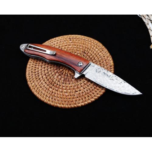 Sentinel - Damascus Quick-Open Folding Knife