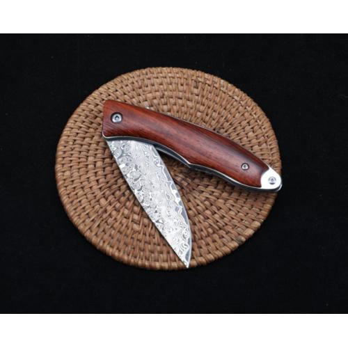 Sentinel - Damascus Quick-Open Folding Knife