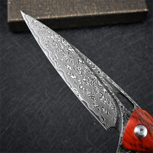 VG10 Damascus Woodpecker Folding Knife