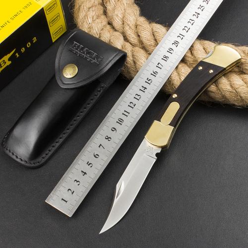 Classic Buck 110 Spring-Assisted Knife in Ebony