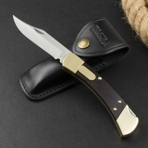 Classic Buck 110 Spring-Assisted Knife in Ebony
