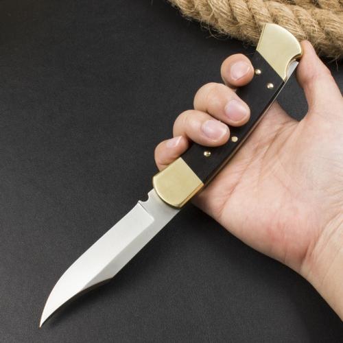 Classic Buck 110 Spring-Assisted Knife in Ebony