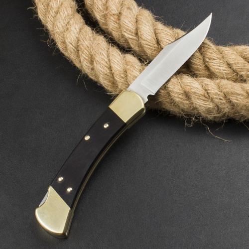 Classic Buck 110 Spring-Assisted Knife in Ebony