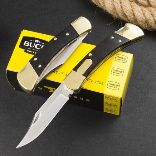 Classic Buck 110 Spring-Assisted Knife in Ebony