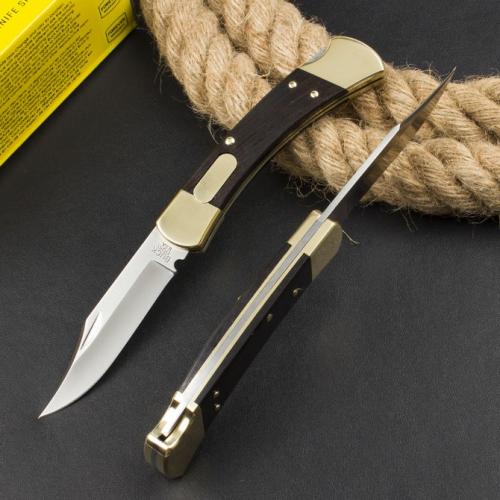 Classic Buck 110 Spring-Assisted Knife in Ebony