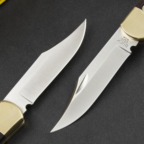 Classic Buck 110 Spring-Assisted Knife in Ebony