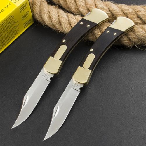 Classic Buck 110 Spring-Assisted Knife in Ebony