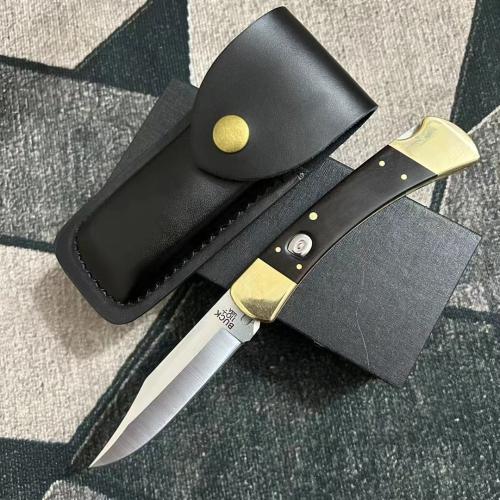 Classic Buck 110 Spring-Assisted Knife