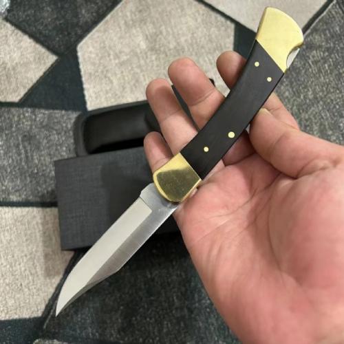 Classic Buck 110 Spring-Assisted Knife