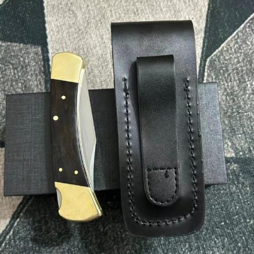Classic Buck 110 Spring-Assisted Knife