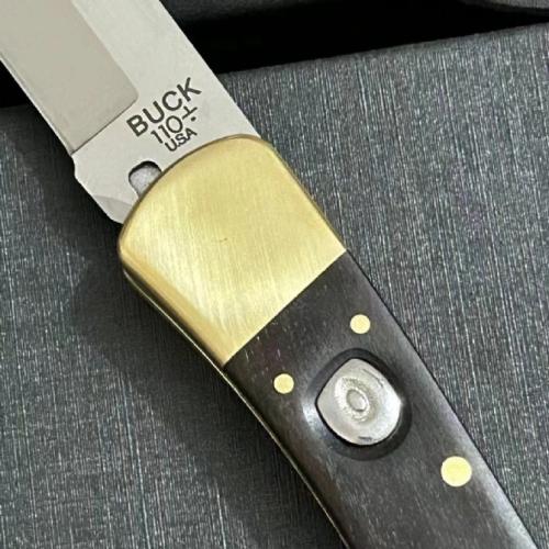 Classic Buck 110 Spring-Assisted Knife