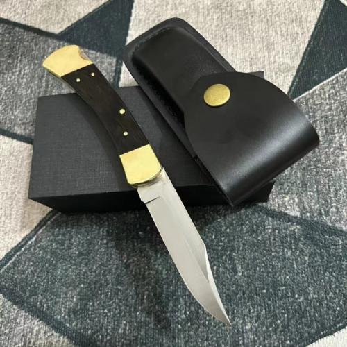 Classic Buck 110 Spring-Assisted Knife