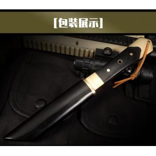 Upgraded Edition - Tōnin Samurai Straight Sword